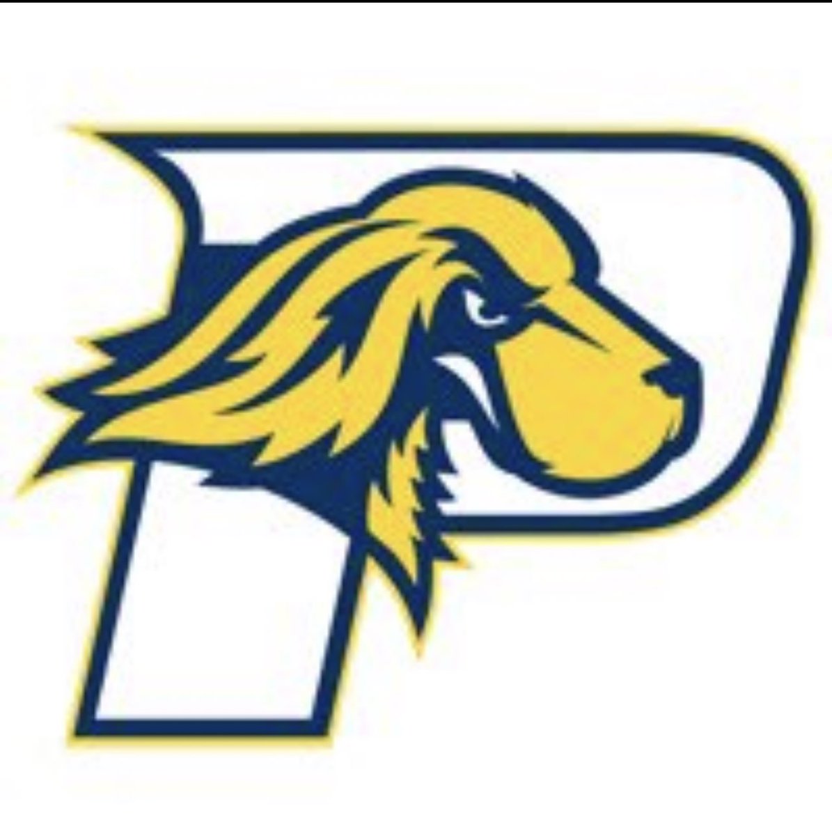 thomas_jashon's tweet photo. After a great performance at @PaceUFootball1 camp and a great phone call with coach @CoachMGirard I’m excited to announce I received a Division II offer to play at PACE UNIVERSITY!!!! @Andy_Rondeau_1 #GOOD2GR3AT https://t.co/oTTb2S6tvl