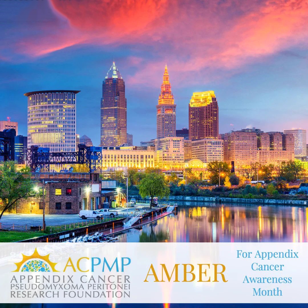 TowerLightsCLE's tweet image. AMBER | For Appendix Cancer Awareness Month #TurnAugustAmber

We join landmarks across the nation for the #AmberforAppendixCancer campaign which is designed to shine a light on this rare but increasingly prevalent cancer. 

Visit @acpmpresearch