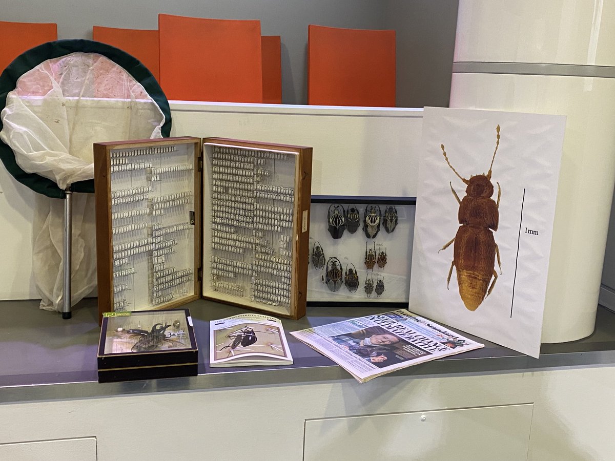 Coleopterist's tweet photo. Good to be back in the ⁦@NHM_London⁩ Attenborough Studio for ⁦@NatureLive⁩ after what seems like a long gap. Fabulous audience with lots of enthusiastic kids today. Talking about beetles, obviously https://t.co/PFkmP56Aap