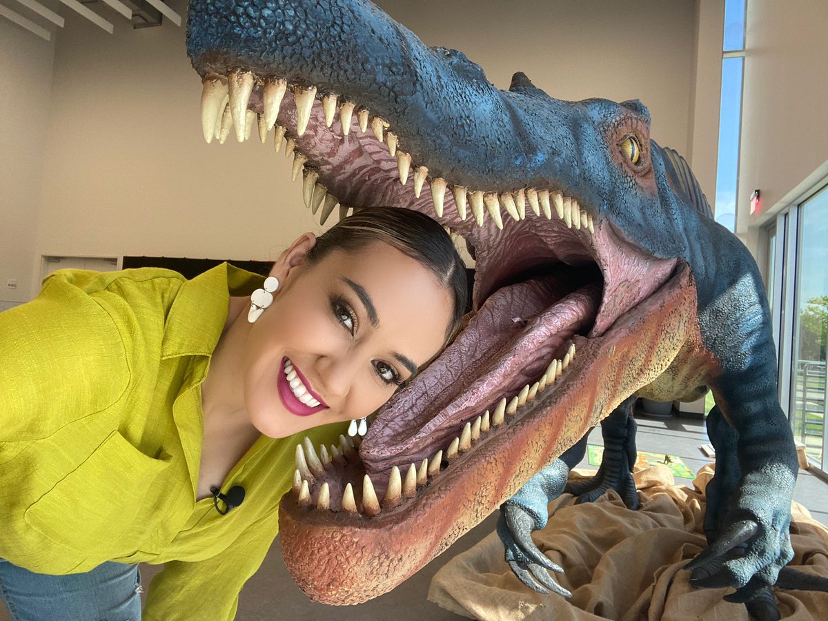 Can you tell I love my job? 😅🤣

Se pueden dar cuenta que me encanta mi trabajo?! 😅🤣