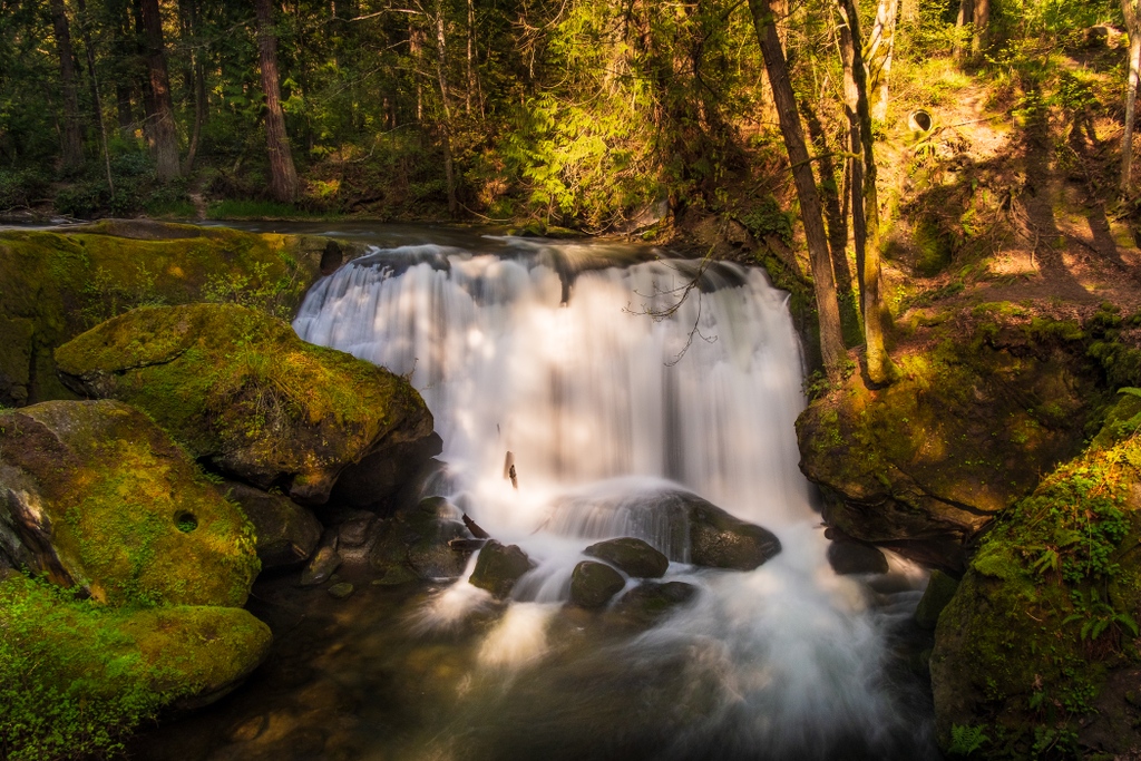 The lovely Whatcom Falls. Nature is never far away in Bellingham. Read more in my stories for @wanderwithwonder and @playstayeat. Links in bio.

#wanderwithwonder #PlayStayEat #waterfallwednesday #bellinghamexperience #bellinghamwashington #visitbellingham