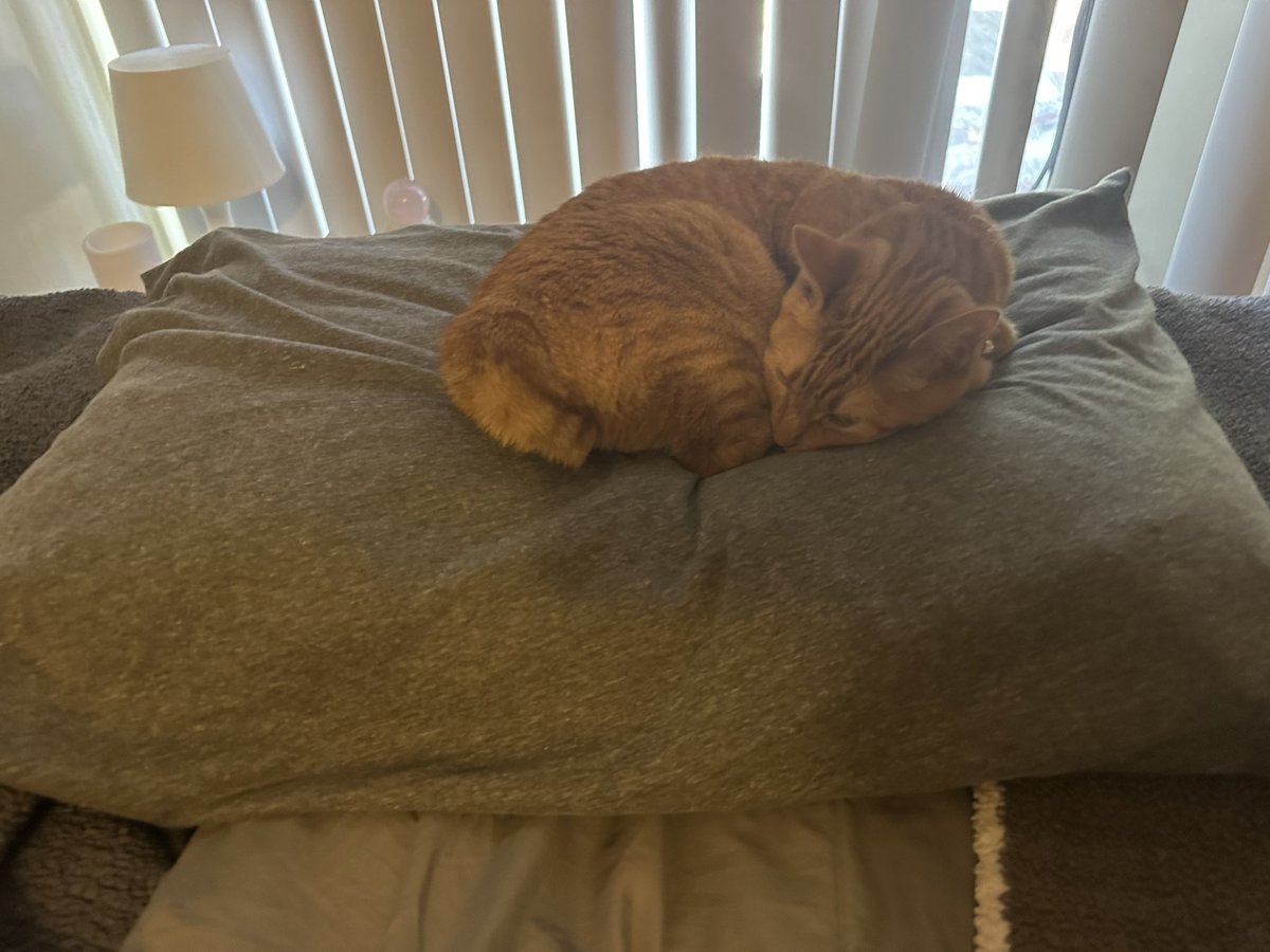 natnatham's tweet photo. @ErasTourResell Meow meow please! https://t.co/ep7ZSDK3uc