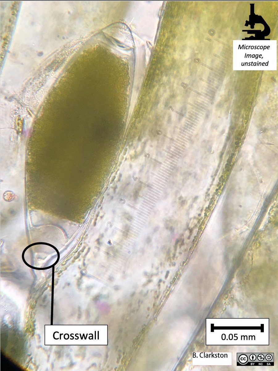 Bridgette Clarkston tweet media