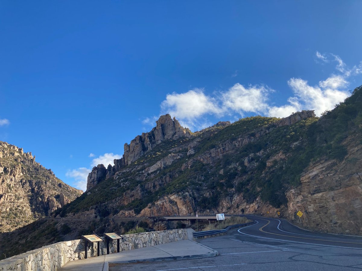 Coronado NF tweet media