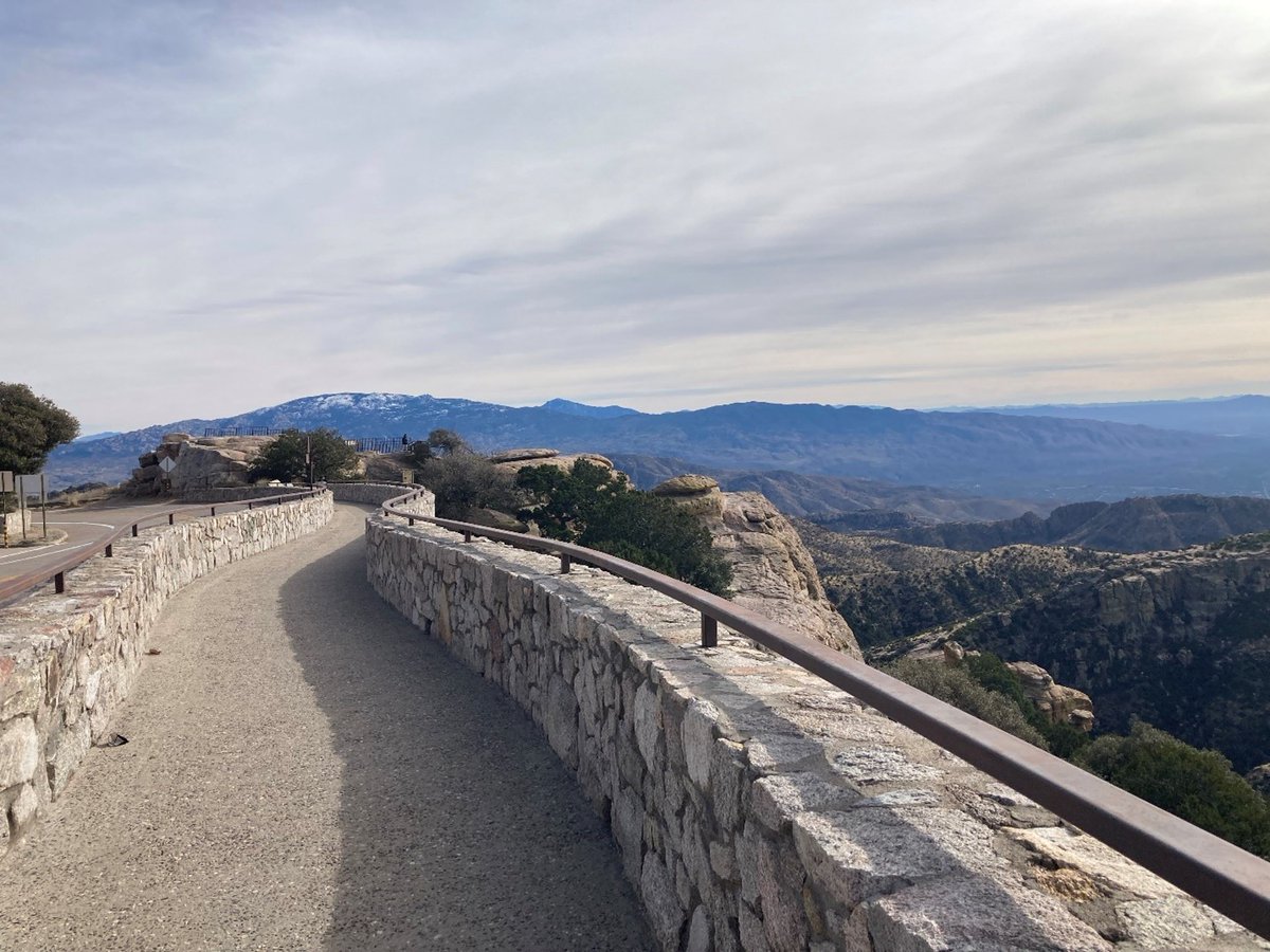 Coronado NF tweet media