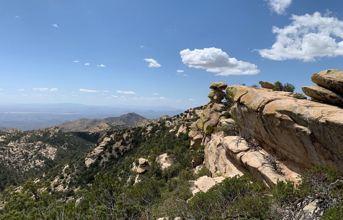 Coronado NF tweet media