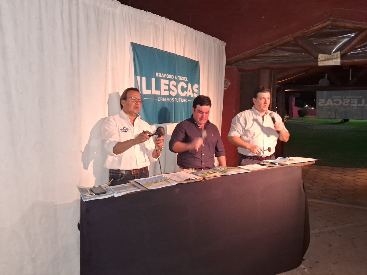 50% de Raul. Padre de Cabaña Illescas de <a href="/LucasLaCava1/">Lucas La Cava</a> multipremiado en diferentes exposiciones fue vendido por <a href="/escaramburu/">Escritorio Aramburu & Cía Ltda</a> y Chiruchi a Grupo Larrarte en U$S 10.800 lo que eleva la cotizacion del ejemplar a U$S 21600.