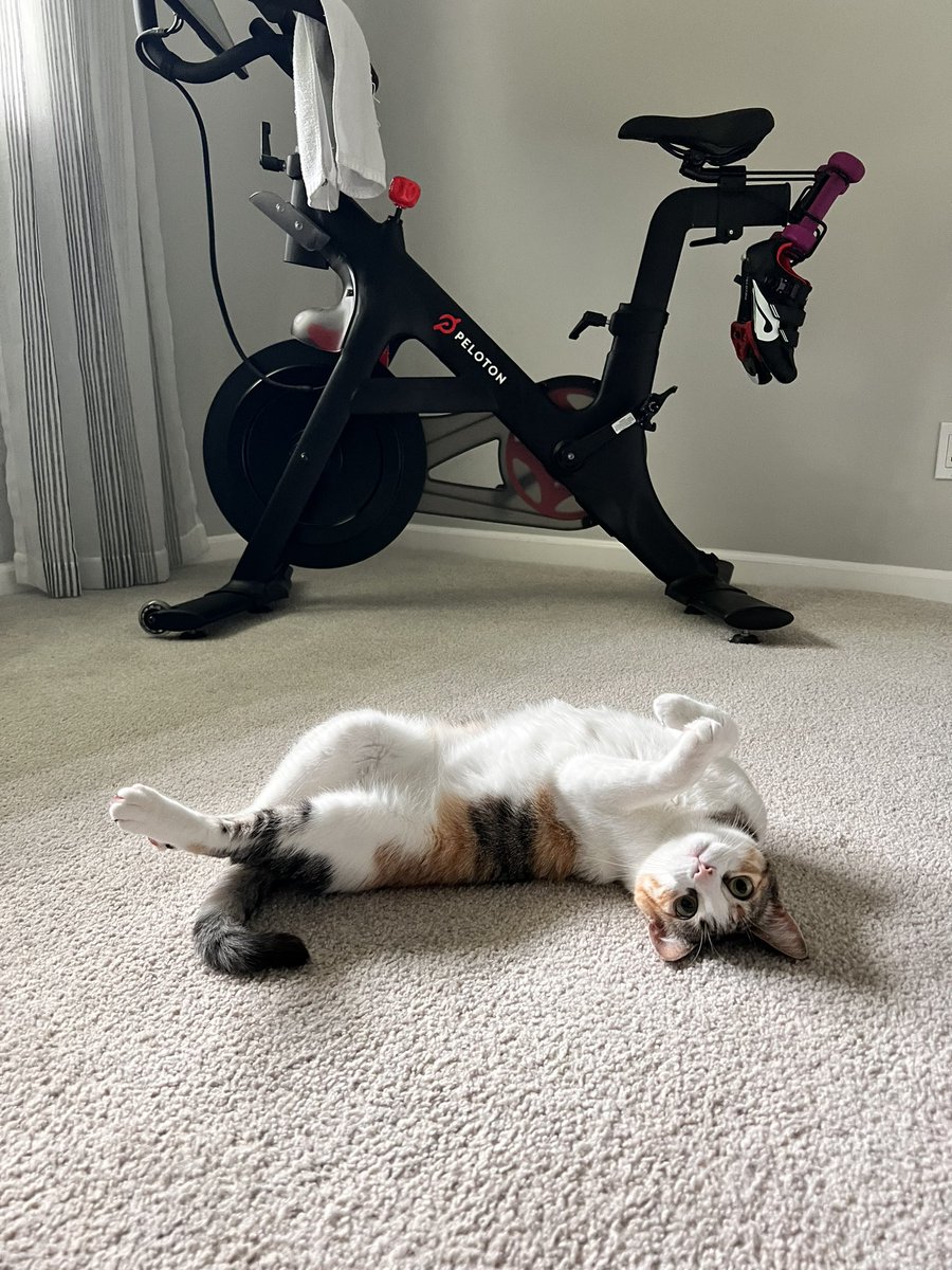 hunterr088's tweet photo. @ErasTourResell We’re both exhausted from trying to get Taylor Swift tickets https://t.co/Y1lhoE6Qct