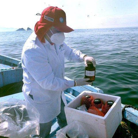 MINPRODUCCION's tweet photo. #ProduceInforma 📢| @SanipesPeru del Ministerio de la Producción, junto a @OEFAperu y @ANAPeru, viene realizando acciones de monitoreo ante la presencia de hidrocarburos en las playas Los Delfines y Cavero de Ventanilla. https://t.co/rJZ8ZyU00s