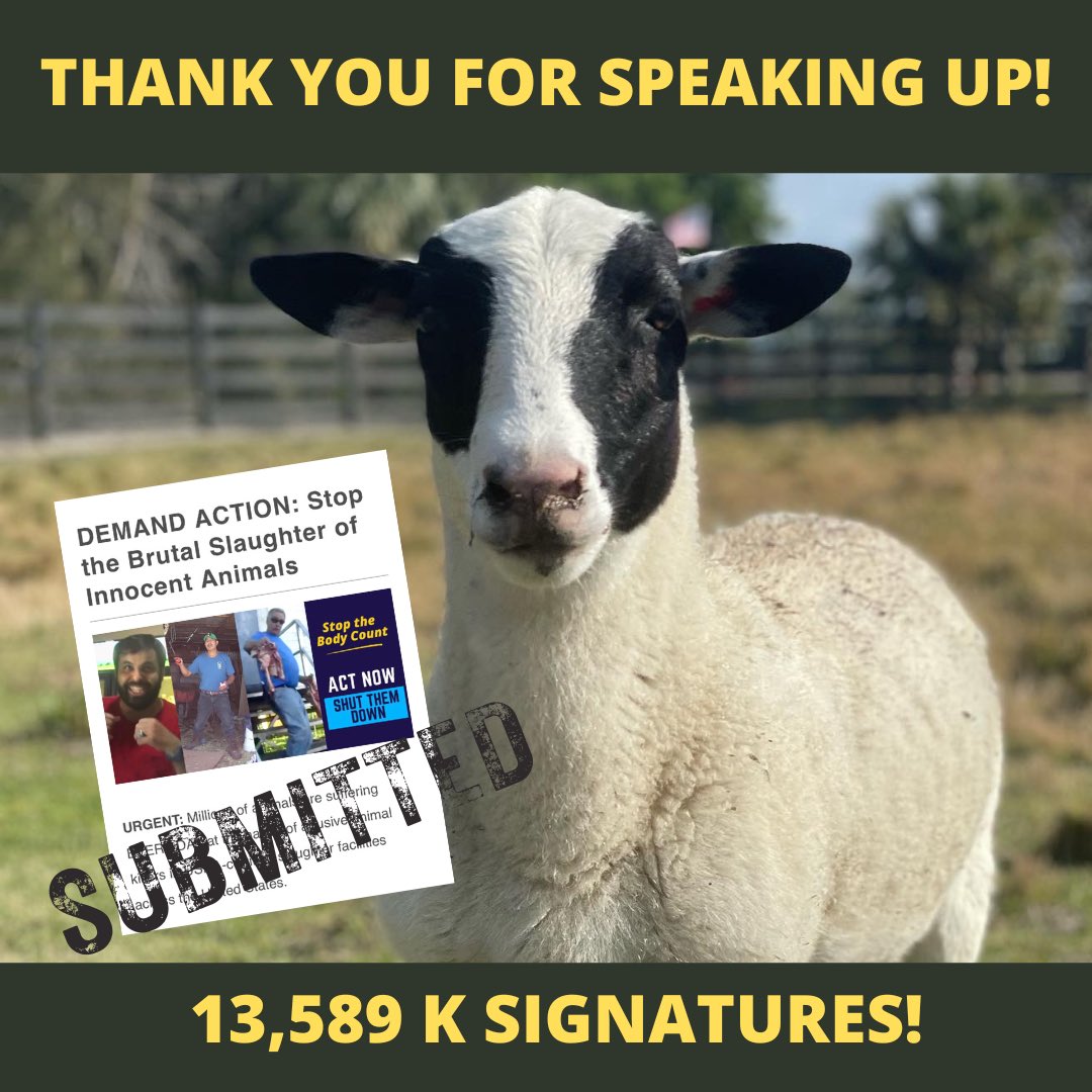 ARMInvestigatio's tweet photo. #Greatjob…13,589k #signatures on our #latestpetition to #TomVilsack to #stopthebrutalslaughter of #innocentanimals. 
#Neverstopfightingforanimals. #Staytuned as we continue this fight. 
#thankyou #gratitude #petition #animalrecoverymission #friendsnotfood https://t.co/cuUAOqKJSJ
