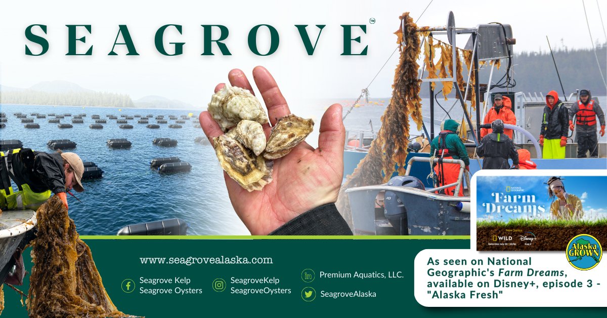 SeagroveAlaska's tweet photo. Catch us on TV!

Episode 3 of Farm Dreams, "Alaskan Fresh", features Seagrove as we set out on a journey to increase revenue and diversity of markets as well as begin the adventure of farming a new mariculture product - shellfish.

Watch here 👇

https://t.co/SQe6gxCBjR https://t.co/ukBJcfZuAN