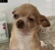 || Disculpen, mi teléfono está presentando problemas a raíz de una caída (nunca le presten el teléfono a sus sobrinos de dos años). Ya mañana debe estar listo.