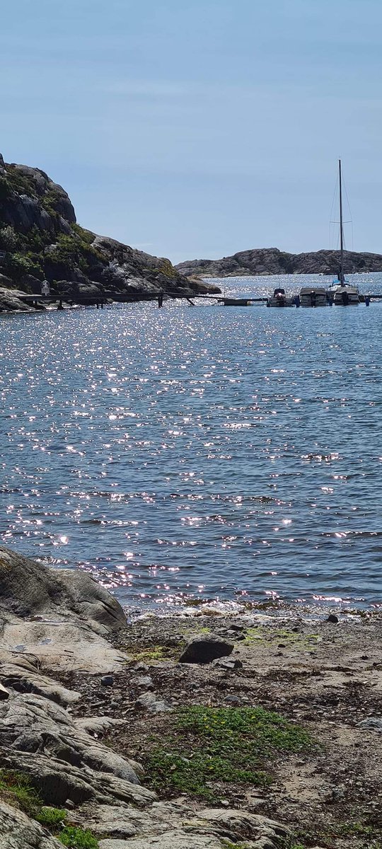 Christer Karlsson (@kleppen57) on Twitter photo 