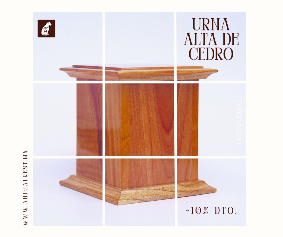 animalrestmx's tweet photo. Conserva las cenizas de tu pequeño en una elegante urna como esta y personalízala con la foto y/o huella de tu mascotita.

Aprovecha durante todo agosto el 10% de descuento en las urnas de cedro.

‌ https://t.co/VxiEdhGqIg