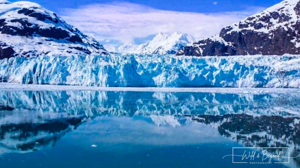 Glacier Bay Nat'l Park~Alaska
Grab a plane, take a cruise, get out there. A trip to Alaska is worth it. So much to see & do. Wildlife, nature, it's amazing. Go.🩷
***
#alaska #glacierbaynationalpark #naturephotography #glacier #travelphotography #travel #wildandbeyondphotography