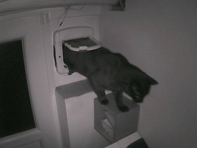 Pépito is back home (22:55:24)