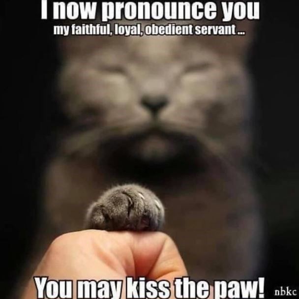 Tommy Robert Lancaster (@tommyro53920973) on Twitter photo 