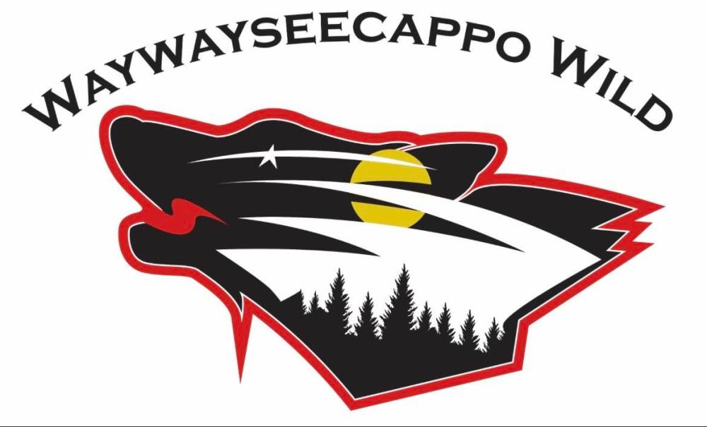A new hockey team will play out of the Waywayseecappo Arena Complex this winter. The Keystone Junior Hockey League announced last week that the Waywayseecappo Wild are joining the Keystone Junior Hockey League for the 2023-24 campaign. #bdnmb bit.ly/3DFOTWc