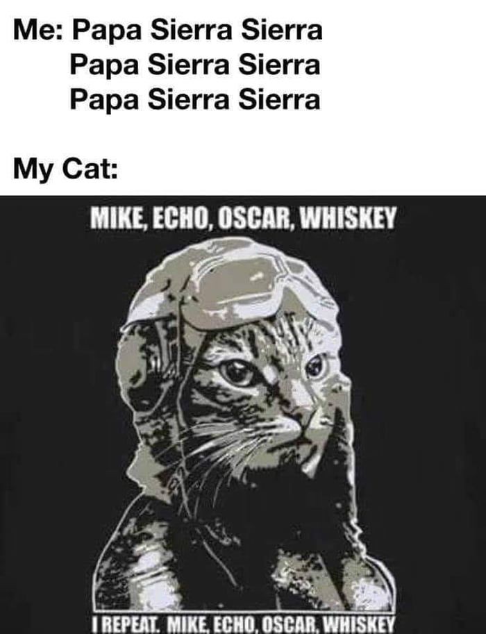 Tommy Robert Lancaster (@tommyro53920973) on Twitter photo 