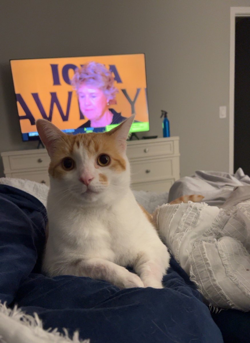 vcsurian's tweet photo. @ErasTourResell I call these “karma is a cat purring in my lap” lol 😻 I am in LA for work this week and would LOVE to go to the concert! Huge swiftie and been trying to get tix from your account 😍🫶🏼💜1️⃣3️⃣ https://t.co/2rjPITjvXM