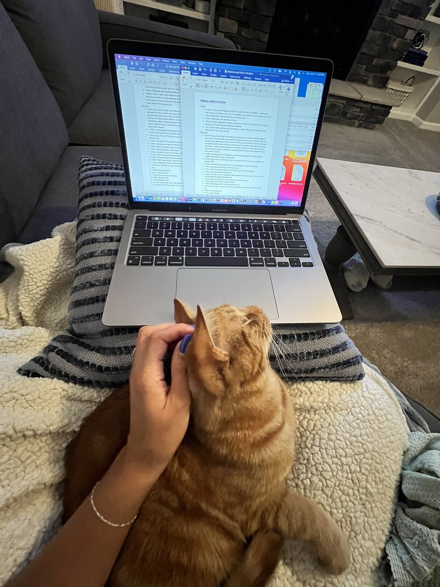 vcsurian's tweet photo. @ErasTourResell I call these “karma is a cat purring in my lap” lol 😻 I am in LA for work this week and would LOVE to go to the concert! Huge swiftie and been trying to get tix from your account 😍🫶🏼💜1️⃣3️⃣ https://t.co/2rjPITjvXM