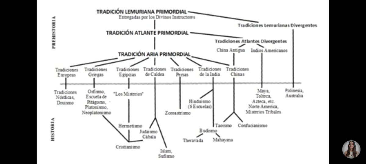 SeleneHolistic tweet media