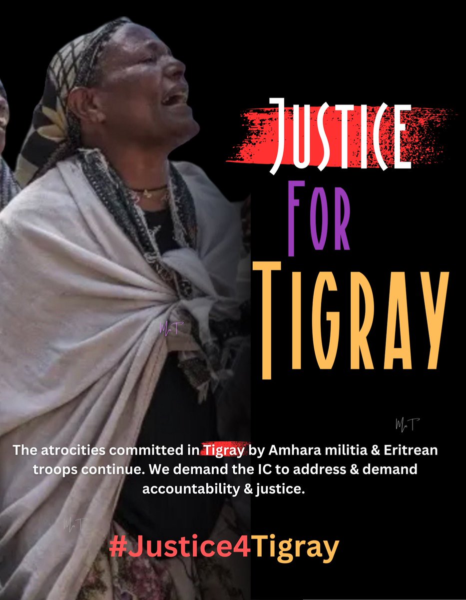 GuyaMete's tweet photo. The world needs to act now to protect civilians in western Tigray and ensure survivors of sexual violence can access emergency humanitarian aid and JUSTICE . @UN_HRC @EUCouncil @UN @hrw @IntlCrimCourt @SecBlinken @PowerUSAID @WFP #Justice4Tigray #ResumeAid4Tigray @GuyaMete @USUN https://t.co/wEZQCzLJgm