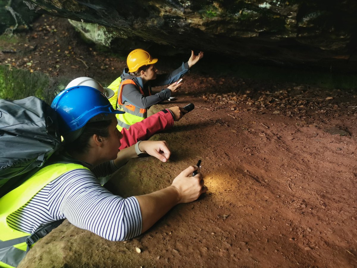 rockwithsyd's tweet photo. Fieldwork Fieldwork! Who'd have thought we'd see a Wizard this Wednesday?
Alderley Edge had many sights to behold!
Thanks to Pete Loader and Duncan Hawley for running this great trip β°οΈ #GESS23 https://t.co/fPlMRqFiAD