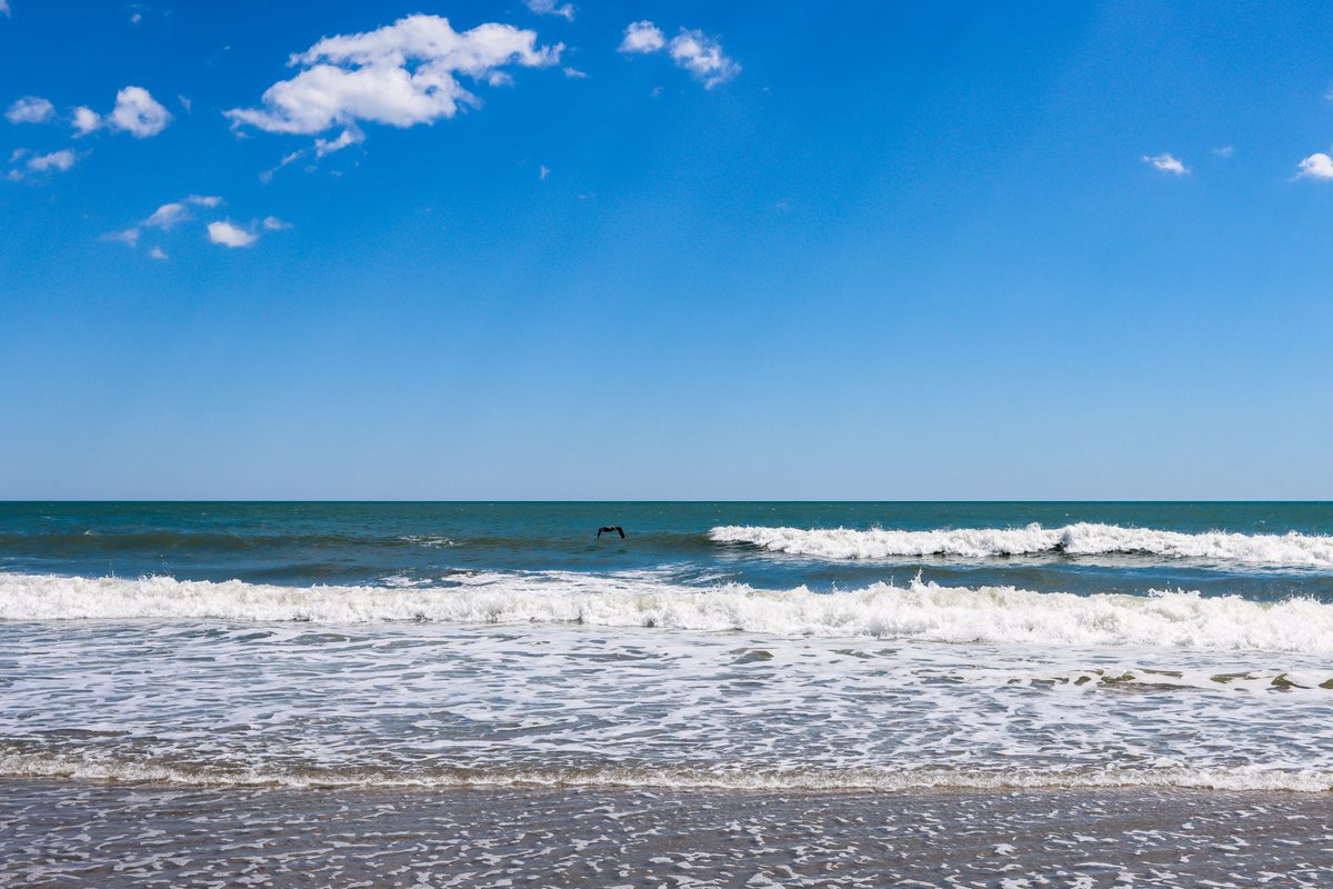 OceanLakes's tweet photo. We are firm believers that salt water heals everything ❤🌊 #OceanLakes #MyrtleBeach #BeachfrontCamping #FamilyFriendly https://t.co/opuEpIc5tf