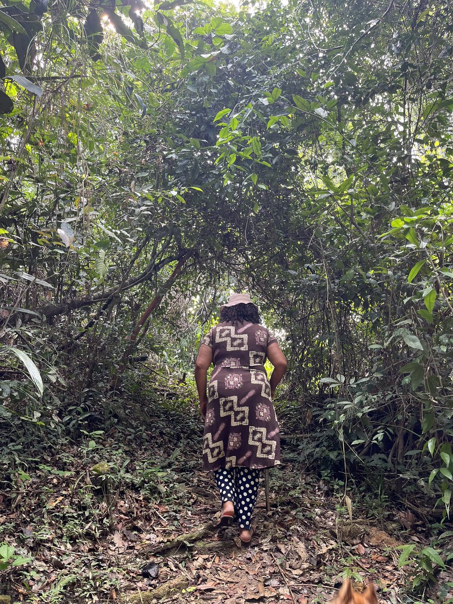 RebecaBinda's tweet photo. 🌿 Understanding the true impact of fires demands attentive listening to local communities and civil society. Their perspectives are vital in shaping a comprehensive picture of the situation

#Amazon #Fires #ClimateChange https://t.co/o9eRosfStR