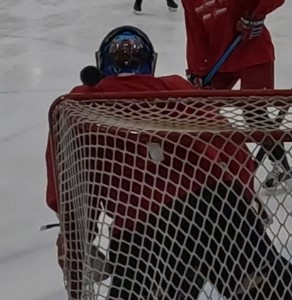 HopliteKate's tweet photo. Nothing worse than a puck that has figured out how to roll over. 😱😩 https://t.co/qwKooMoPQt
