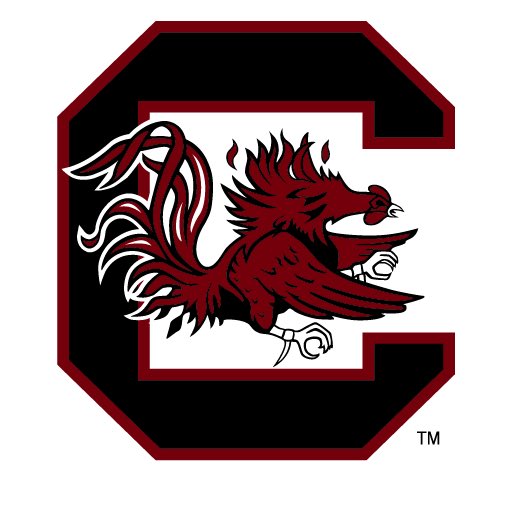 After a great talk with <a href="/dawnstaley/">dawnstaley</a>, I’m excited to have received an offer from South Carolina!!