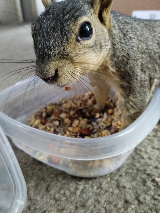 HAGGLE THIS tweet media