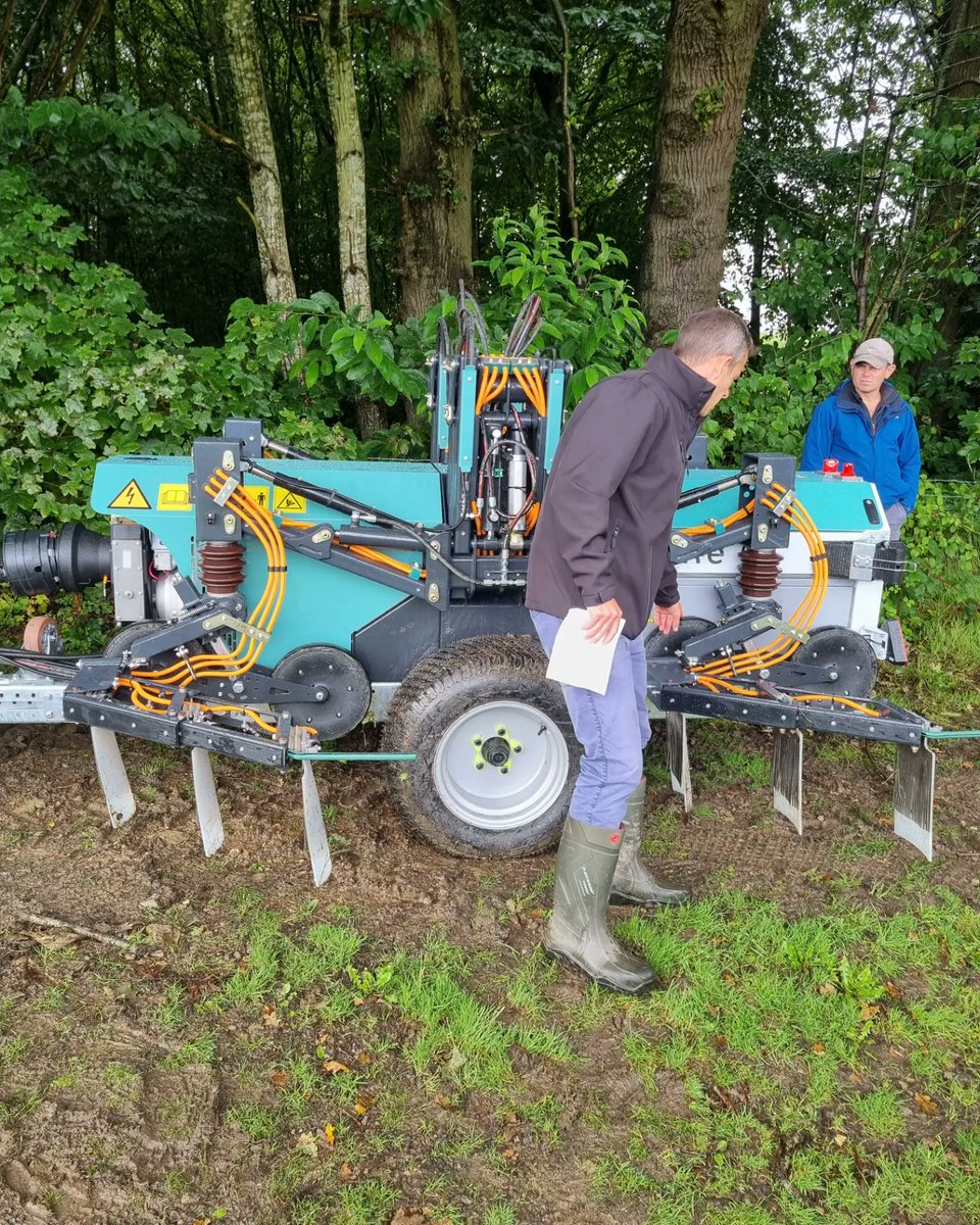 Dan Hawes tweet media