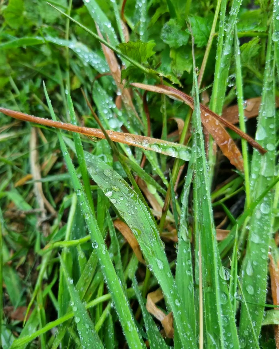 Dan Hawes tweet media