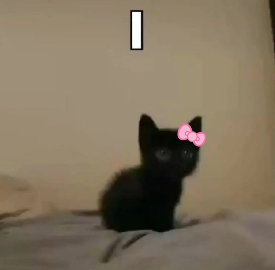 Kitty archives ♡ (@puppierz) on Twitter photo 