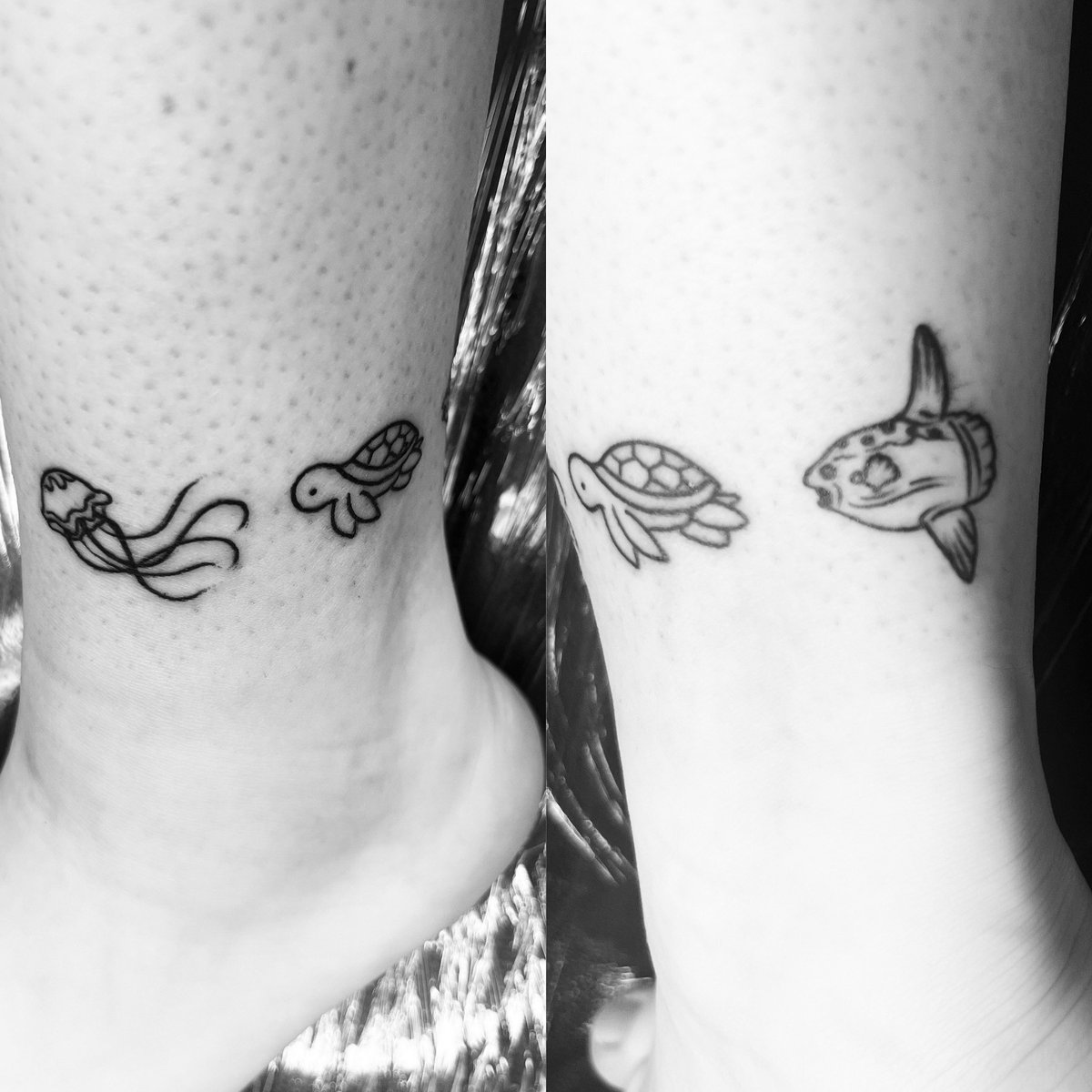 Jamie Shachmut tweet media