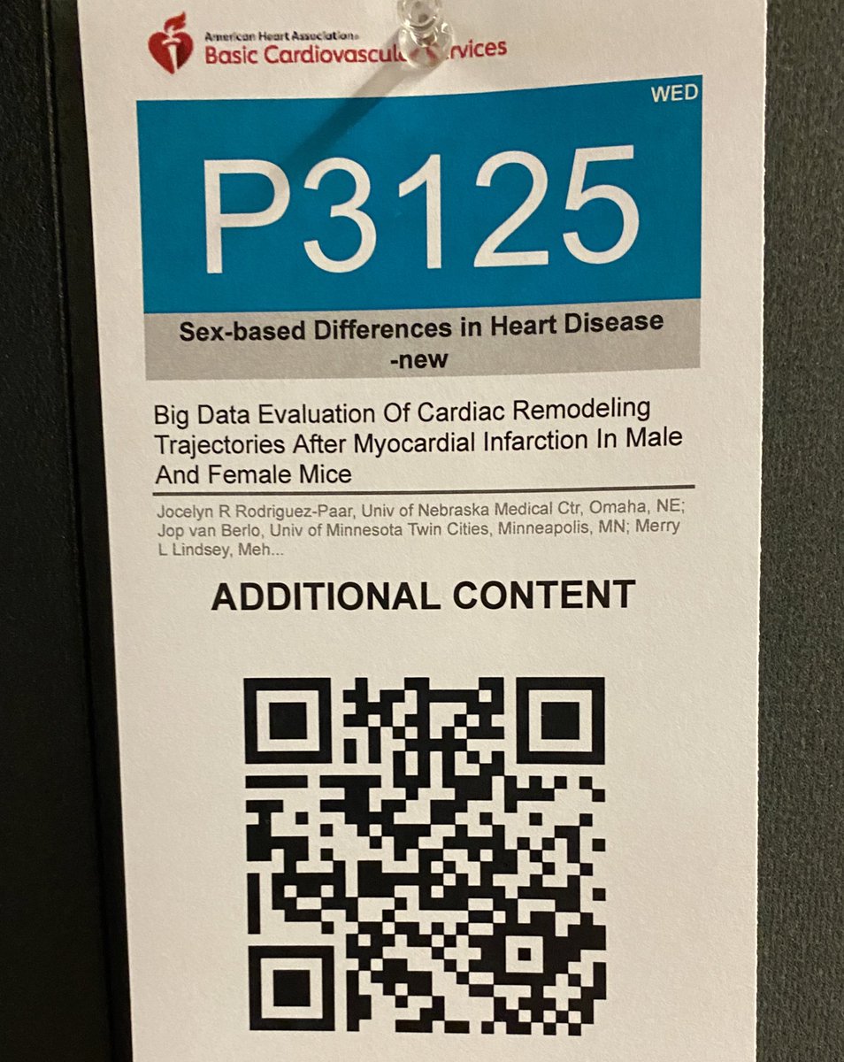 #BCVS2023 presenting our work on cardiac remodeling similarities and differences between males and females after MI @merrylindseyphd @umnmedschool @unmc