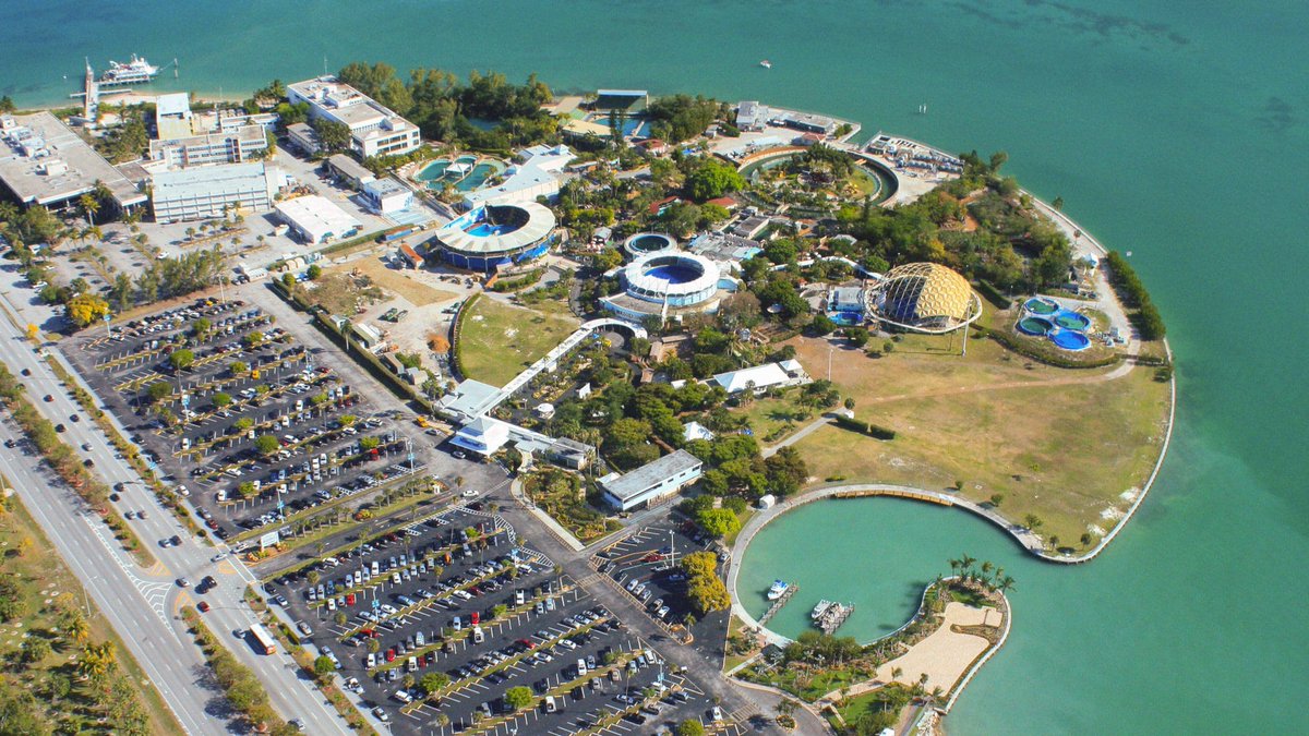 NEW BLOG POST: Behind the Scenes: The Dolphin Company Documentation and Notes
themedreality.com/2023/08/02/beh…