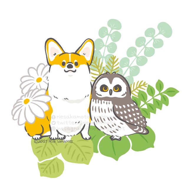 「国際フクロウの日 International Owl Awareness Day」|サカモトリエ/イラストレーターのイラスト