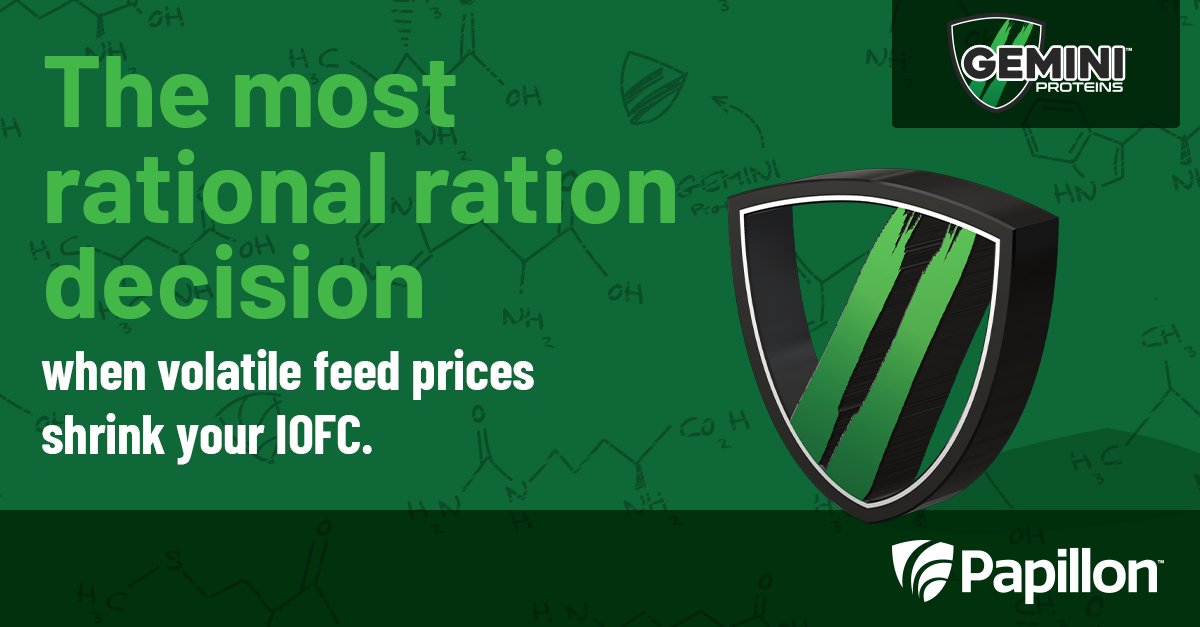 ✓ Supplies a complete amino acid profile
✓ Supports herd health and optimizes efficiency
✓ Prevents over- or under-feeding valuable nutrients

There’s a reason Gemini Proteins™ have been fed to top-producing herds for over a decade. See why at papillon-ag.com/products/gemin…