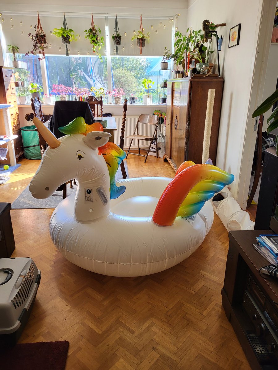 Mér leiddist og núna er risastór, uppblásinn einhyrningur í stofunni minni. Hann er stærri en ég.