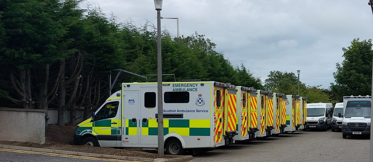 Tom Steele tweet media