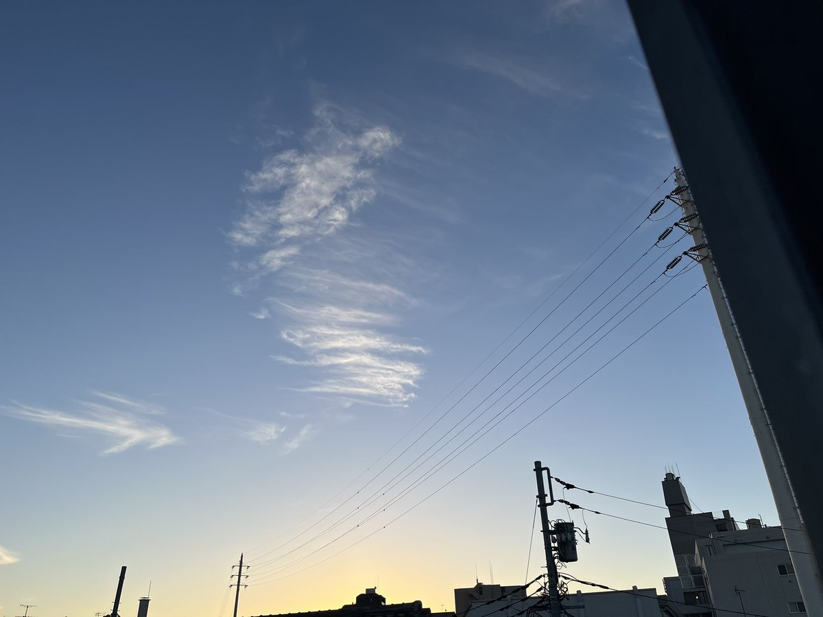 ankuro39's tweet photo. 東の空…久しぶりだけどなぁ〜！
我が家のハイビスカス~四段目の蕾が… https://t.co/b0487Cei5x