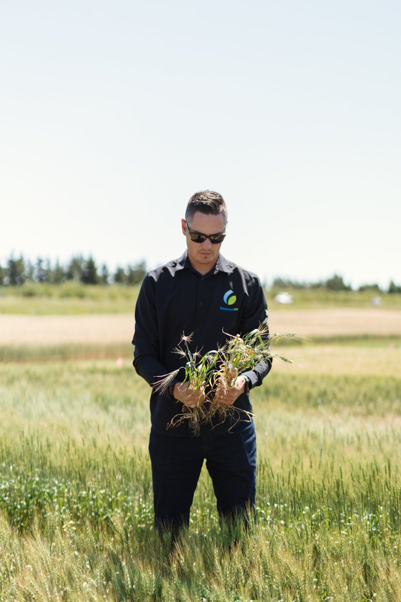 AdvancedAg tweet media