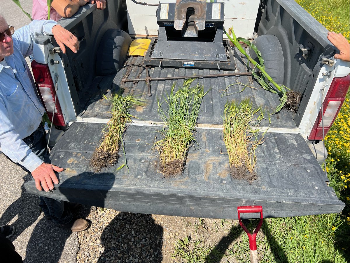 AdvancedAg tweet media