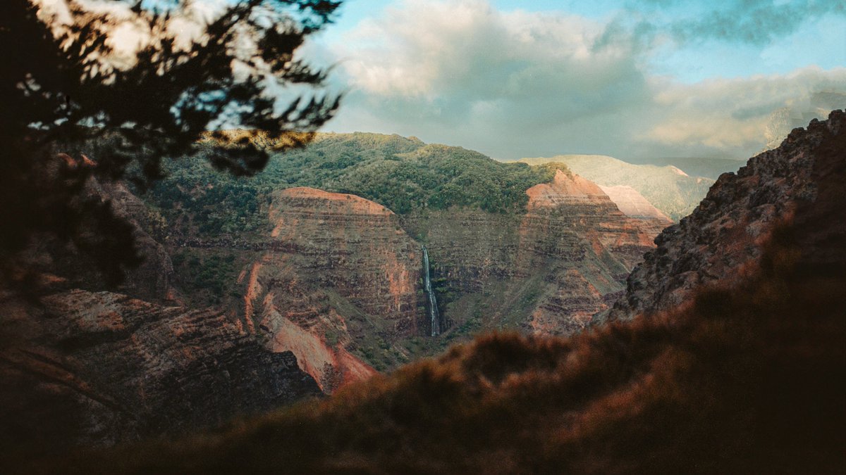 johncwingfield's tweet photo. Hawaiian Memories on 35mm film https://t.co/FSYj7E6QiH
