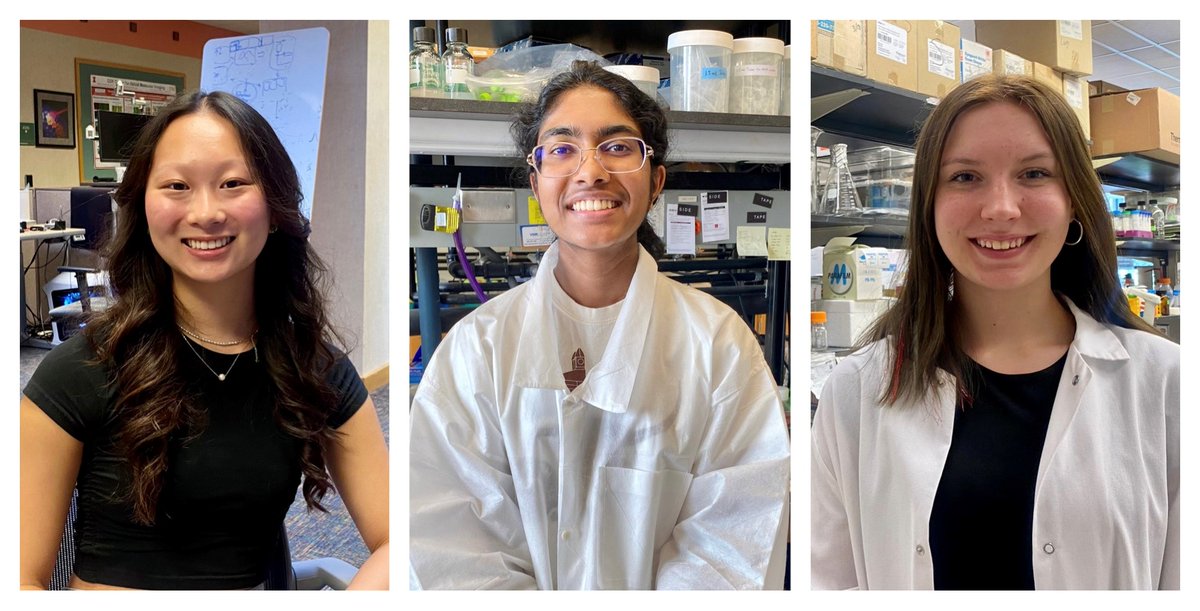 CancerCenterIL's tweet image. 🔶 #researcHStart symposium is tomorrow!
🔷 Students have been working on projects all summer and will showcase their work tomorrow to family, friends, and the scientific community 👏