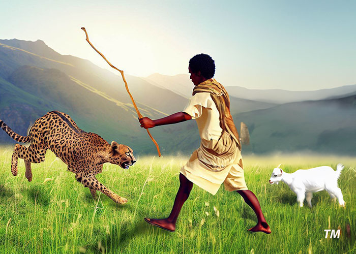 Some say #Tigray means "land of strong people". At #Ayder Hospital in #Mekelle I treated #shepherds attacked by #leopards while protecting their #goats. Two men stand a good chance to win but one man with just a staff is risking his life. Most of the patients were just one man.