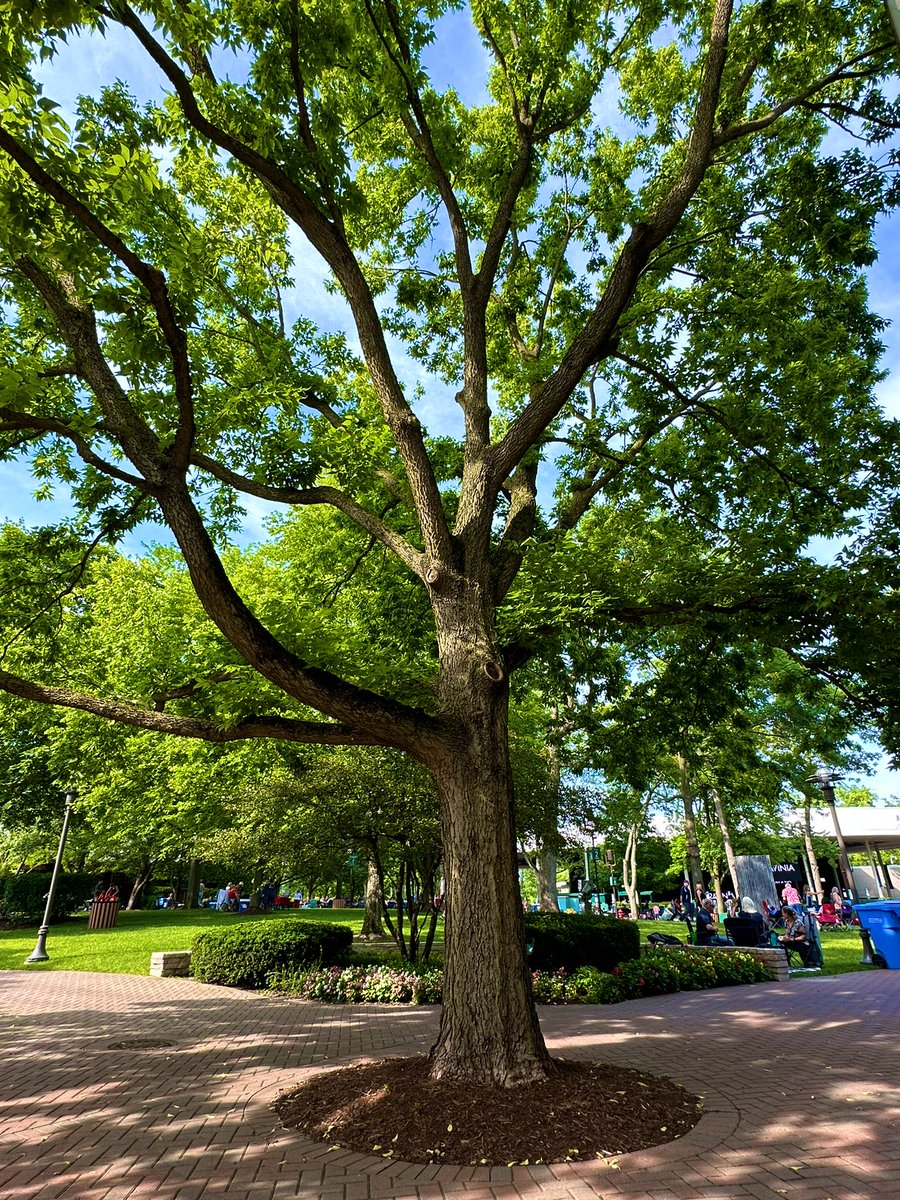 Getting ready for the <a href="/jason_mraz/">Jason MMRRRaz</a> concert at <a href="/RaviniaFestival/">Ravinia Festival ®</a>! It’s going to be another beautiful evening filled with music, love, joy, friends, and family. Let’s gooooooo!!!!!!